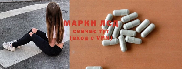 прущие грибы Няндома