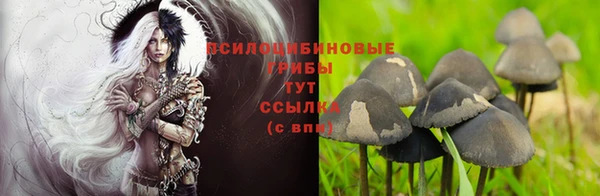 кристаллы Новозыбков