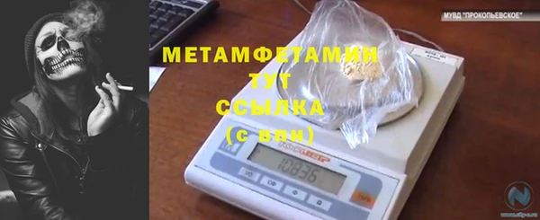 ПСИЛОЦИБИНОВЫЕ ГРИБЫ Нязепетровск