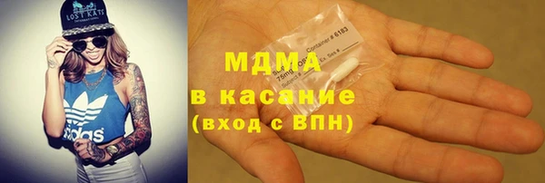 прущие грибы Няндома