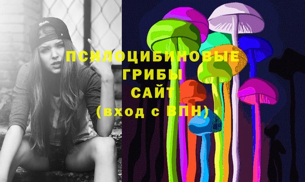 МДПВ Новокубанск