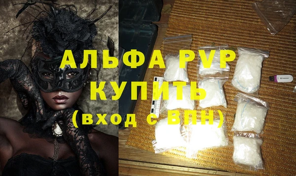 прущие грибы Няндома