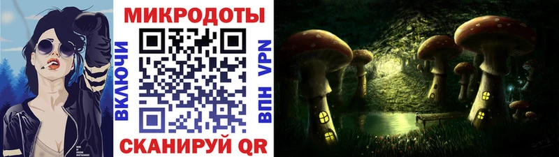 продажа наркотиков  Ак-Довурак  кракен зеркало  Псилоцибиновые грибы GOLDEN TEACHER 